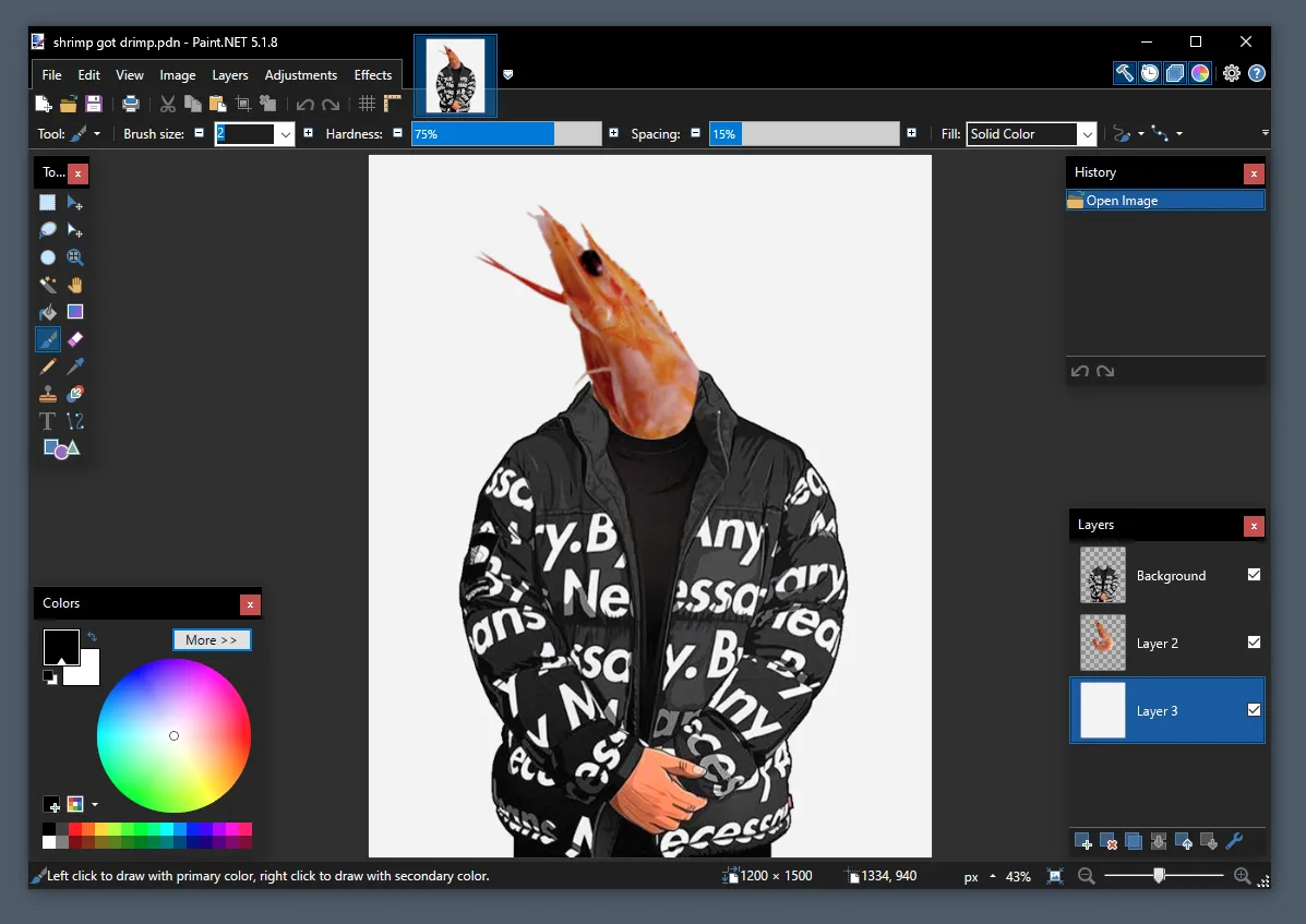 A screenshot of a Paint.NET window, with an image of a shrimp wearing Goku
Drip.